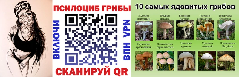 гидра зеркало  Кремёнки  Псилоцибиновые грибы Psilocybine cubensis 